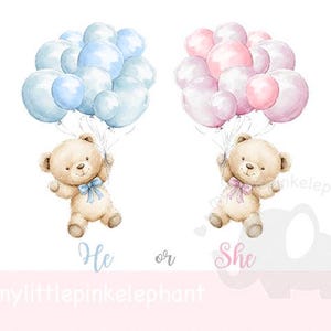 Pink & Blue Teddy Bear PNG, Gender Reveal Girl or Boy What Will Baby Be? Pink Blue Bears, Instant Digital Download, Sublimation Design