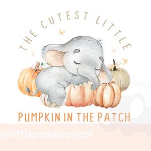 May include: Watercolor illustration of a gray elephant sleeping on pumpkins. The text reads "THE CUTEST LITTLE PUMPKIN IN THE PATCH". The elephant has pink ears and is surrounded by orange and cream-colored pumpkins.