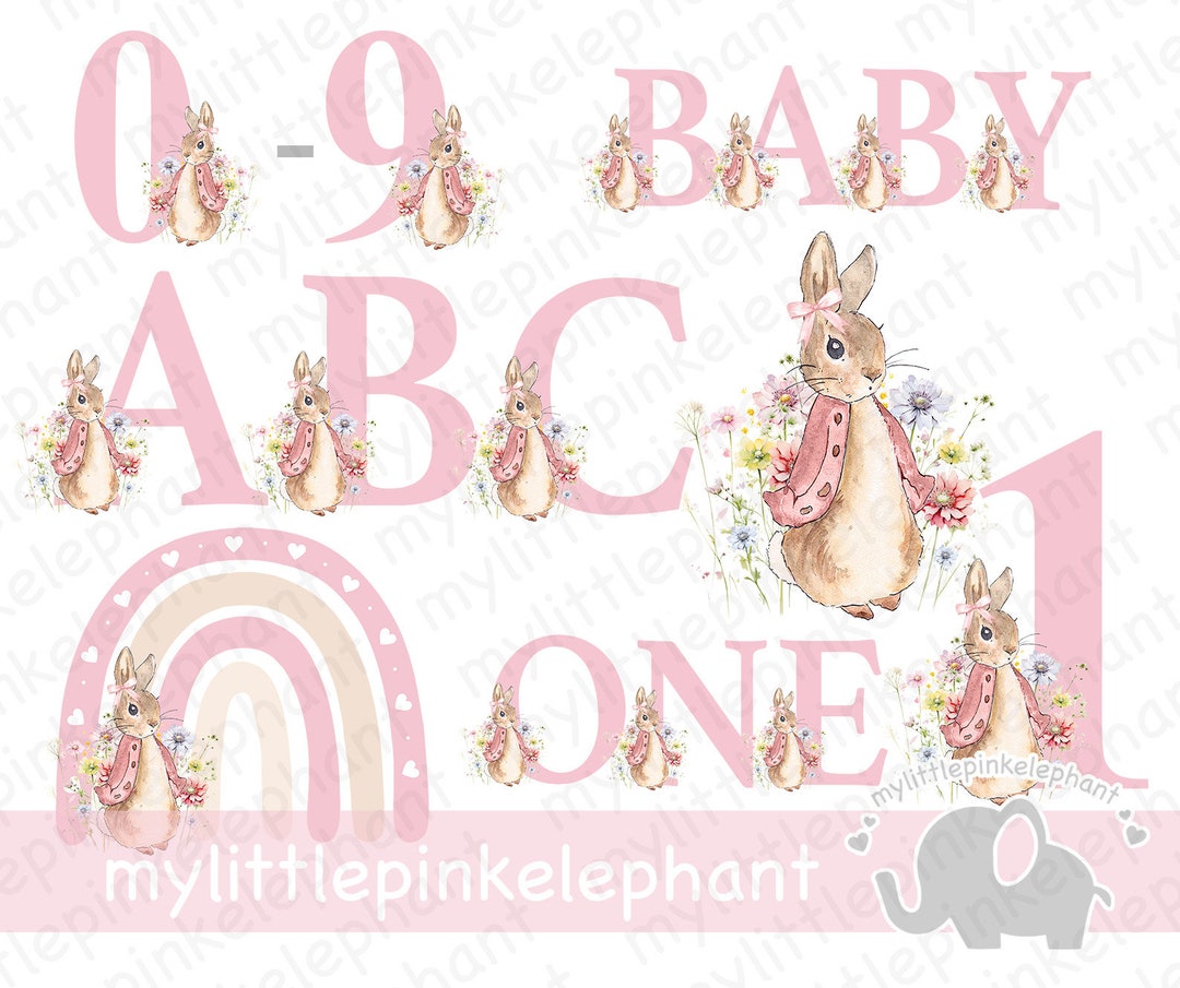 Peter Rabbit Bundle Ages 1-9 A-Z, Flopsy Bunny PNG, Set Digital Images ...