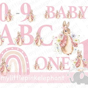 Paquete de Peter Rabbit de 1 a 9 años de la A a la Z, Flopsy Bunny PNG, conjunto de imágenes digitales, guardería, cumpleaños, baby shower, niña, rosa, imágenes prediseñadas de sublimación, UV/DTF