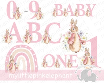 Peter Rabbit Bundle Ages 1-9 A-Z, Flopsy Bunny PNG, Set Digital Images, Nursery Birthday Baby Shower Girl Pink, Sublimation Clipart, UV/DTF