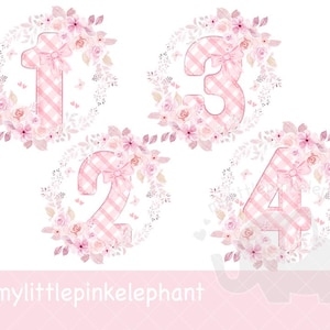 Pink flower wreath Birthday Clipart PNG Butterflies Cute 1-0 Full Number Set Image Crafting Card UVDTF DTG Transparent Download
