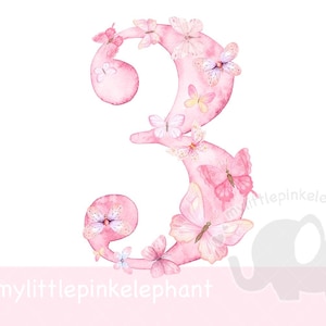 Borboleta rosa aquarela número 3 PNG, design de sublimação de duas borboletas, decoração de festa de aniversário de borboleta, festa de borboleta, download instantâneo