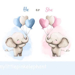 Rosa & blå elefant PNG, könsavslöjande flicka eller pojke vad blir bebisen? Rosa blå elefant, omedelbar digital nedladdning, sublimeringsdesign