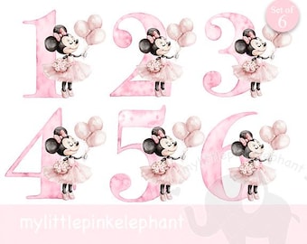 Mi primer cumpleaños de Minnie Mouse, primer cumpleaños png, números 1-6, camiseta de cumpleaños de Minnie Mouse de Disney, camiseta de cumpleaños de Disneyland, descarga instantánea