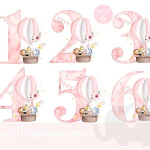Balão de ar quente de animais do Safari para bebês Aniversário Clipart PNG selvagem Bonito 1-6 Número Conjunto Imagem Ferro em Sublimação Artesanato Cartão Download instantâneo