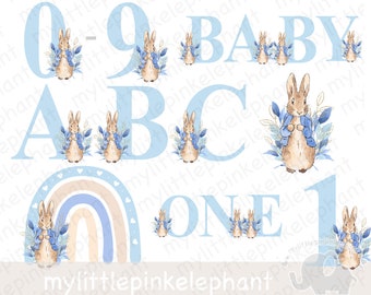 Peter Rabbit Bundle Ages 1-9 A-Z, Flopsy Bunny PNG, Set Digital Images, Nursery Birthday Baby Shower Boy Pink, Sublimation Clipart, UV/DTF