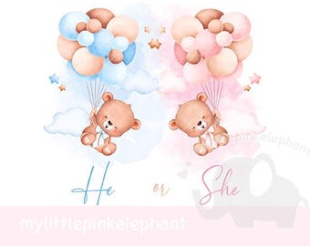 Gender Reveal design Teddy Bear Idea Gender Reveal png Hot Air Balloons Pink And Light Blue He or She digital download