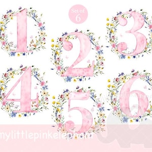Bebé en flor, flores silvestres, números del 1 al 6, PNG, diseño de sublimación, camiseta de embarazo, baby shower, cartel de bienvenida, descarga instantánea