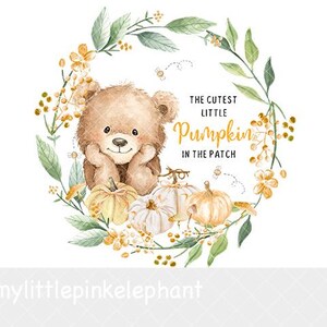 Cutest Little Pumpkin in the Patch Teddy Bear PNG, Autumn Bear Sublimation Design, Bear Clipart, Fall Pumpkins, Instant Digital Download