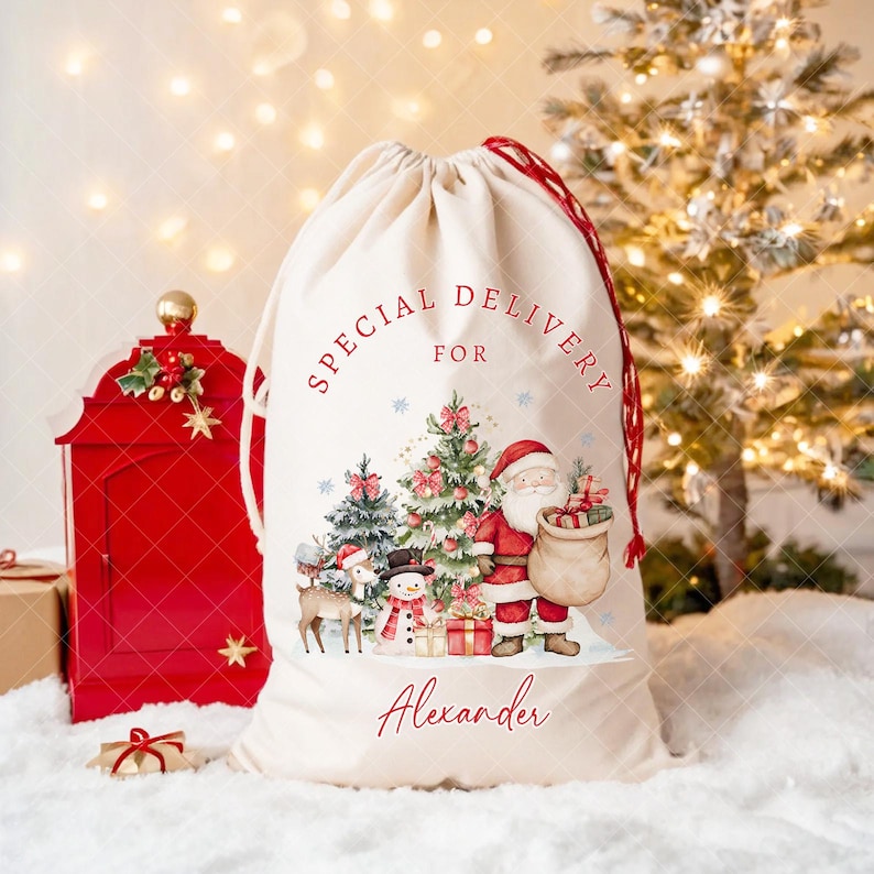 May include: A cream-colored Christmas gift bag with a red drawstring. The bag features a festive illustration of Santa Claus, a reindeer, a snowman, and Christmas trees. The words "SPECIAL DELIVERY FOR" and the name "Alexander" are printed on the bag.