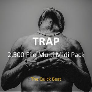 2.500 Trap Midi Dateien - Akkorde, Melodien & Drums Midi Paket für Produzenten