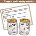 Shells Study Bundle | Types of Shells | Shadow Match| Facts | Sorting ...