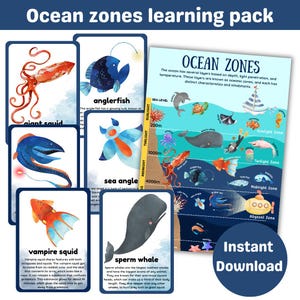 Paquete de aprendizaje de las zonas oceánicas / 12 tarjetas didácticas con información / océano profundo / carteles y actividad de clasificación / imprimibles digitales