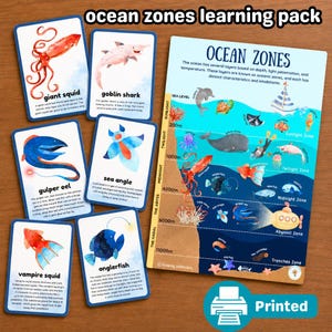 Tenner Tuesday|Deep Ocean Learning Pack | Ocean Zones Activities for Kids | Deep Sea Creature Fact Cards  | Printed and wipe clean