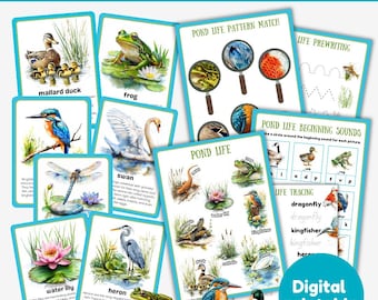 Pond life learning pack | 18 facts flashcards | pond | spring | activity sheets | digital printable | instant download