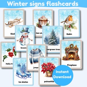 Tarjetas didácticas de los signos del invierno / invierno / un conjunto de 19 tarjetas más funda / digital / descarga instantánea