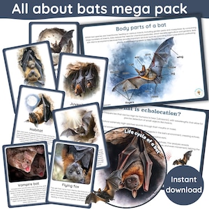 May include: Educational pack about bats, featuring illustrated cards with information on bat anatomy, habitat, and echolocation. Includes the text "All about bats mega pack" and "Instant download".