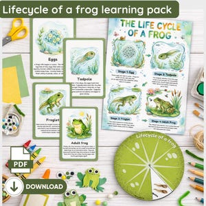 May include: A learning pack about the lifecycle of a frog. The pack includes illustrated cards showing the stages of a frog's life, from eggs to adult frog, and a circular chart. The text "Lifecycle of a frog learning pack" is at the top.