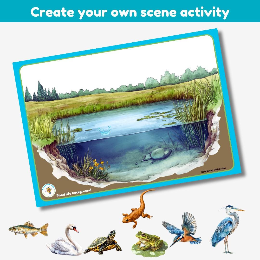 What Do You Know About Habitats?