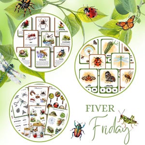 May include: An educational illustration featuring various insects and bugs, including a spider, ladybug, and butterfly. The image includes flashcards with insect names and illustrations, along with the text "FIVER Friday".