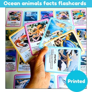 Flashcards sobre fatos do oceano | Flashcards sobre animais marinhos com imagens reais | Cartões físicos