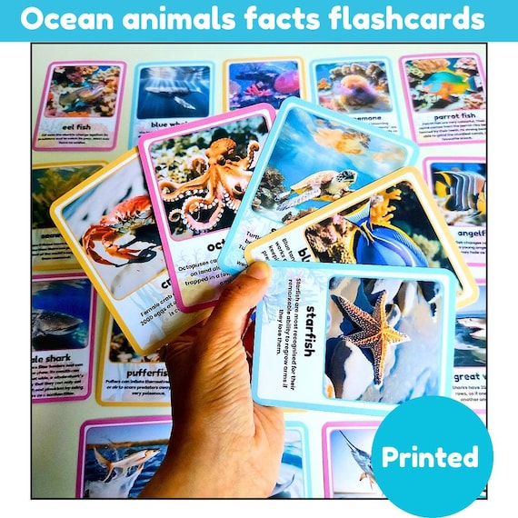 Ocean facts flash cards | sea animals flashcards with real pictures | physical cards