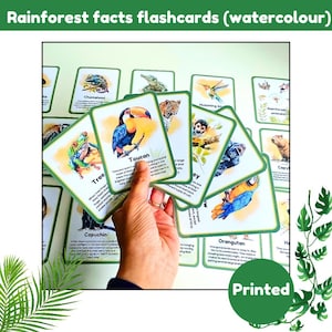 Flashcards sur la forêt tropicale humide | Cartes mémoire animaux de la jungle | belles illustrations à l'aquarelle | cartes physiques | imprimé et plastifié
