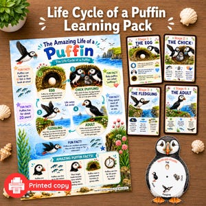 Puffin Life Cycle Learning Pack | Reusable Wipe-Clean Learning Activity | Homeschool Science Resource | Bird Study Unit | Printed Copy