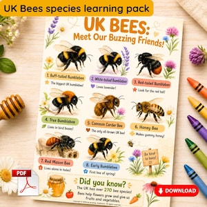 Può includere: Un poster educativo colorato sulle api del Regno Unito, con illustrazioni di varie specie di api e descrizioni. Il poster include il testo "UK BEES: Meet Our Buzzing Friends!" e informazioni sulle api. Sono visibili anche pastelli e un cucchiaio per il miele.