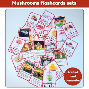 Flashcards de cogumelos | flashcards de fatos | fonética | comestível ou não | escolha seu conjunto | | cartões impressos e laminados