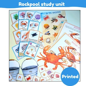 Unidade de estudo Rockpool | Flashcards de fatos | Flashcards de fonética | Anatomia de caranguejo | Classificação por tamanho | Modelo de alfinete de caranguejo | Impresso e laminado