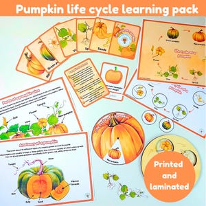 Pack d'apprentissage du cycle de vie de la citrouille | cartes mémoire | anatomie d'une citrouille | parties de vigne de citrouille | imprimé et plastifié
