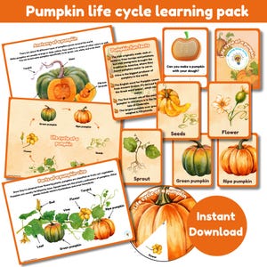 May include: A printable learning pack about the life cycle of a pumpkin. The pack includes illustrations of a pumpkin sprout, green pumpkin, ripe pumpkin, flower, seeds, and a pumpkin vine. The pack also includes fun facts about pumpkins, such as their origin and history. The text "Instant Download" is in the bottom right corner of the image.