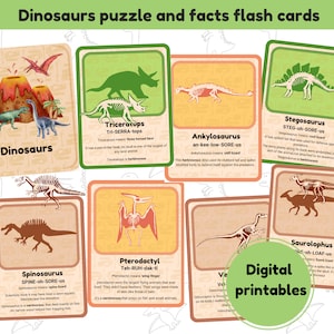 Dinosaurs puzzle and facts flashcards | 20 Dinosaurs flashcards | digital printable