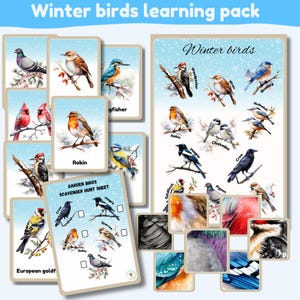 Leerpakket wintervogels | tuinvogels kijken | RSPB | 20 flashcards | matchkaarten met patroon |2 A4-posters | 2 jachtlakens | direct downloaden
