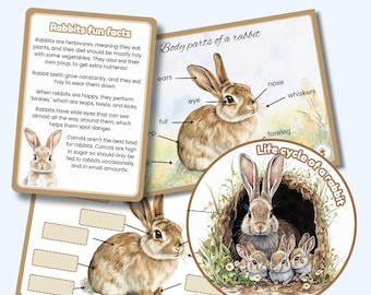 Life Cycle of a Rabbit Learing Pack Wheel and Flashcards