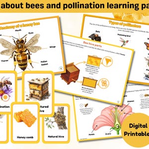 May include: A set of printable educational cards about bees and pollination. The cards feature colorful illustrations of bees, flowers, honeycombs, and beehives. The text on the cards includes "Anatomy of a Honey Bee", "Types of Pollinators", "Bee Hive Parts", and "Pollination".