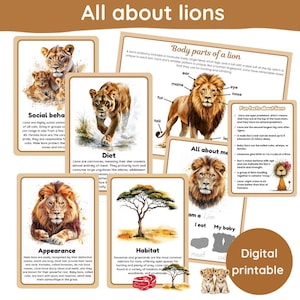 May include: A digital printable featuring educational cards about lions. The cards include information on social behavior, diet, appearance, and habitat. The image also includes the text "All about lions".