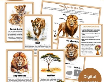 ライオンに関する学習パック | ライオン | 熱帯雨林 | ジャングルの