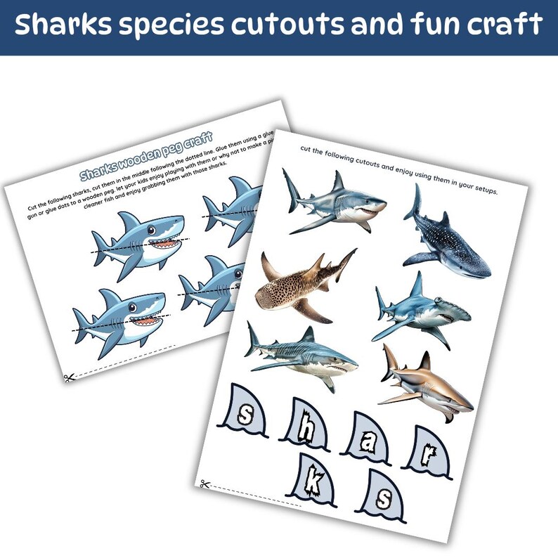 All About Sharks Printable | Shark Learning Pack | Montessori Ocean ...