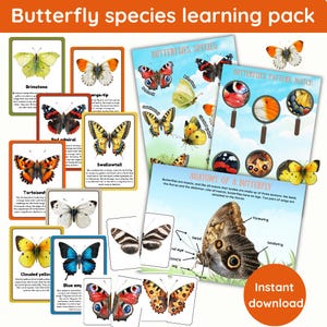 Leerpakket vlindersoorten | 14 feitenkaarten | activiteitenfiches| 2 delen puzzels | direct downloaden | digitaal