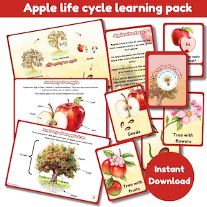 Leerpakket voor de levenscyclus van Apple | levenscycluskaarten | anatomie van een appel | anatomie van appelboom | digitale printables