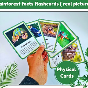 Flashcards sobre fatos da floresta tropical | Flashcards sobre animais da selva | Montessori com imagens reais | cartões físicos | impressos e laminados