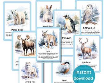 FEPITO 8 Pezzi Figure Orsi Polari In Miniatura - Decorazioni Invernali E Natalizie - 5