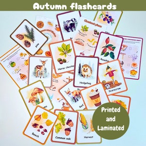 Flashcards d'automne | Choisissez parmi trois jeux de cartes mémoire | Animaux des bois | feuilles et graines | Signes d'automne | cartes physiques