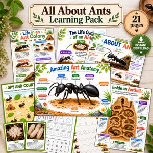 All About Ants Learning Pack | Ant Life Cycle Activities | Insect Study Unit | Homeschool| Montessori Nature Study | Digital download