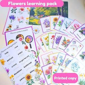 Pack d'apprentissage Fleurs | printemps | cartes mémoire | fiches d'activités |  | imprimé et plastifié