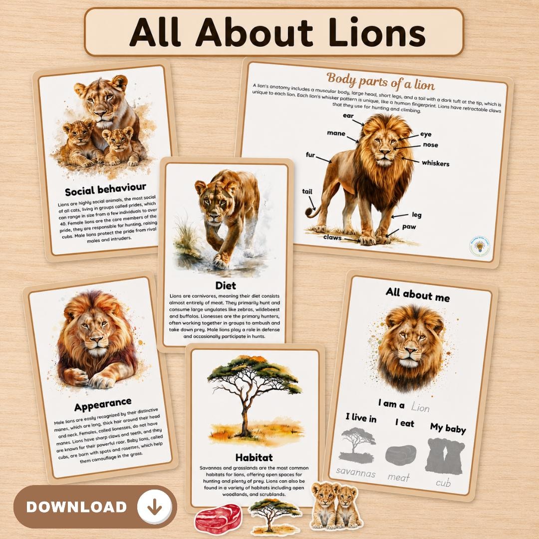All About Lions Learning Pack | Lions | Rainforest | Jungle