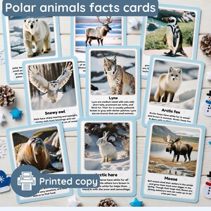 Polar animals facts flashcards with real pictures | a set of 20 flashcards plus cover | Arctic animals | facts cards |printed cards